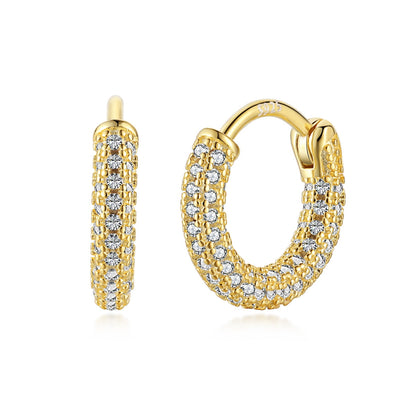 [LuckyStar]Delicate Versatile Daily Earrings